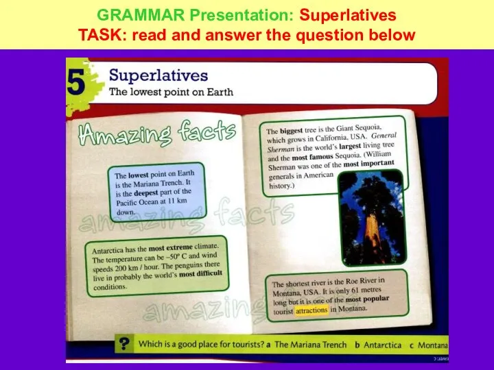 GRAMMAR Presentation: Superlatives TASK: read and answer the question below