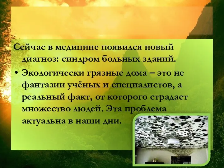 Сейчас в медицине появился новый диагноз: синдром больных зданий. Экологически грязные дома