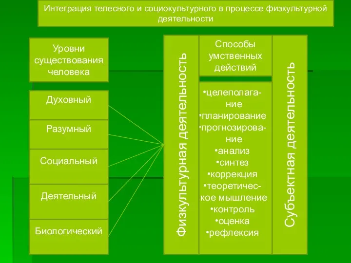 Уровни существования человека Духовный Разумный Социальный Деятельный Биологический Субъектная деятельность Способы умственных