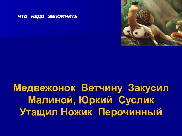 что надо запомнить Медвежонок Ветчину Закусил Малиной, Юркий Суслик Утащил Ножик Перочинный