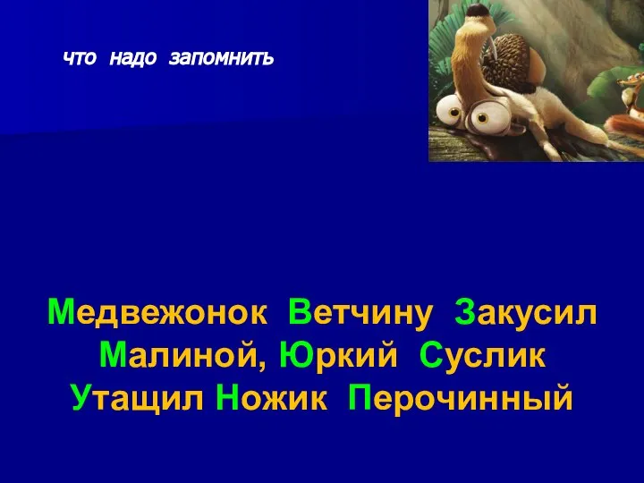 что надо запомнить Медвежонок Ветчину Закусил Малиной, Юркий Суслик Утащил Ножик Перочинный