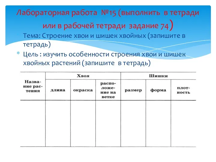 Тема: Строение хвои и шишек хвойных (запишите в тетрадь) Цель : изучить