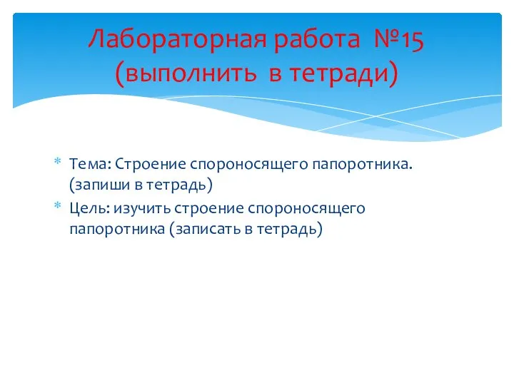 Тема: Строение спороносящего папоротника. (запиши в тетрадь) Цель: изучить строение спороносящего папоротника