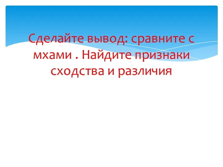 Сделайте вывод: сравните с мхами . Найдите признаки сходства и различия