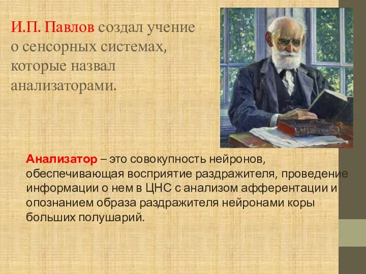 И.П. Павлов создал учение о сенсорных системах, которые назвал анализаторами. Анализатор –