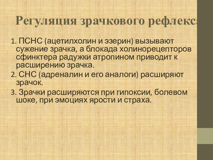 Регуляция зрачкового рефлекса: 1. ПСНС (ацетилхолин и эзерин) вызывают сужение зрачка, а