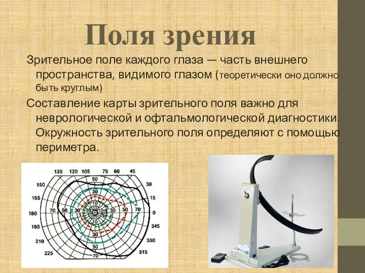 Поля зрения Зрительное поле каждого глаза — часть внешнего пространства, видимого глазом