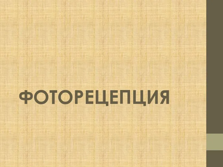 ФОТОРЕЦЕПЦИЯ