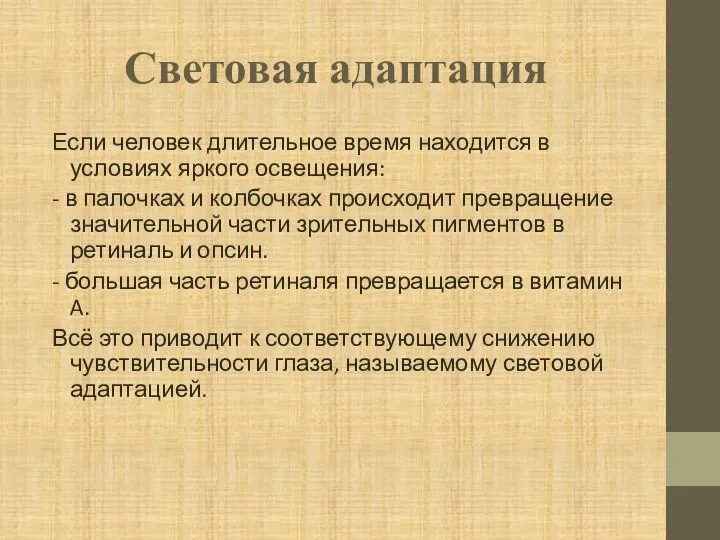 Световая адаптация Если человек длительное время находится в условиях яркого освещения: -