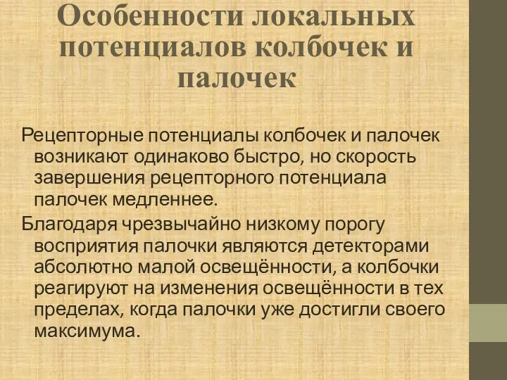 Особенности локальных потенциалов колбочек и палочек Рецепторные потенциалы колбочек и палочек возникают