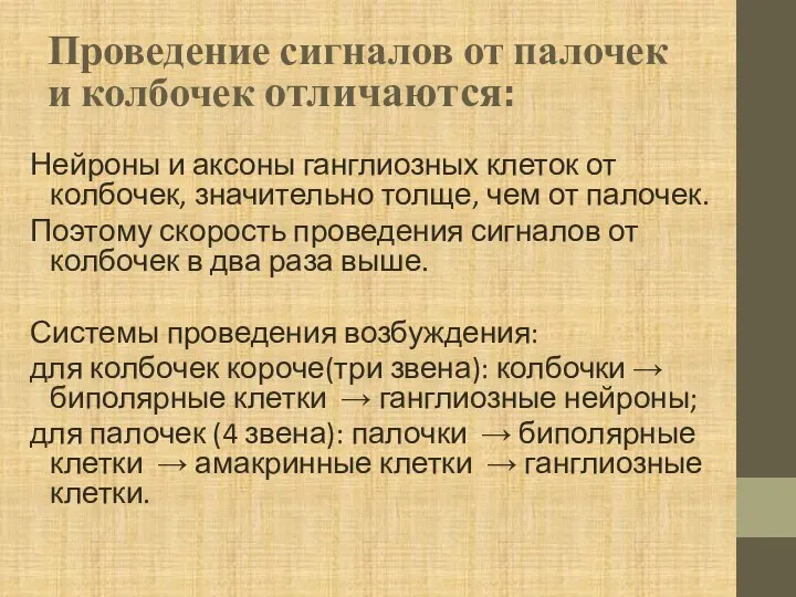 Проведение сигналов от палочек и колбочек отличаются: Нейроны и аксоны ганглиозных клеток