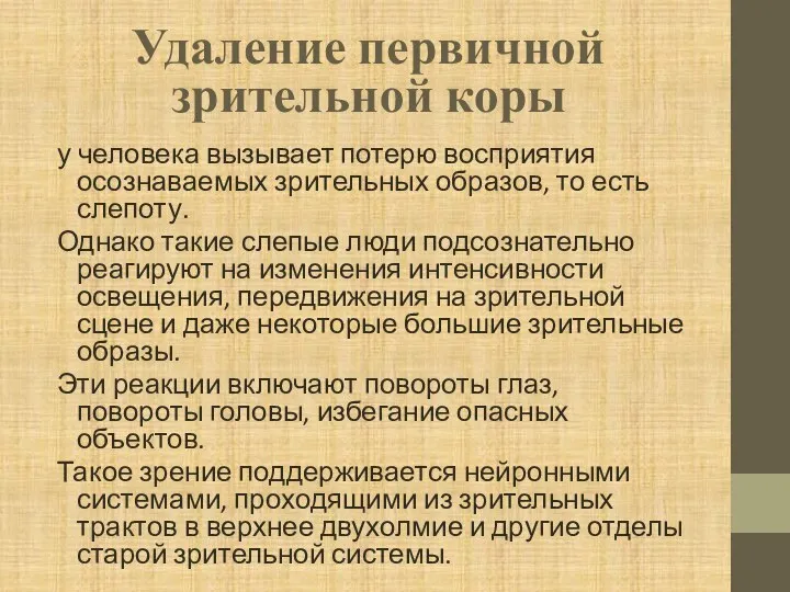 Удаление первичной зрительной коры у человека вызывает потерю восприятия осознаваемых зрительных образов,