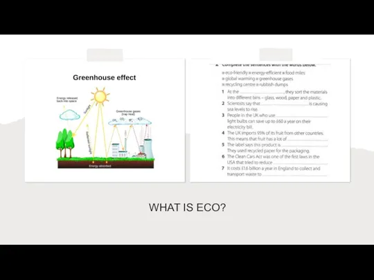 WHAT IS ECO?