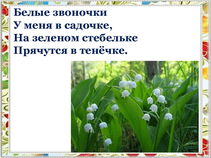 Белые звоночки У меня в садочке, На зеленом стебельке Прячутся в тенёчке.