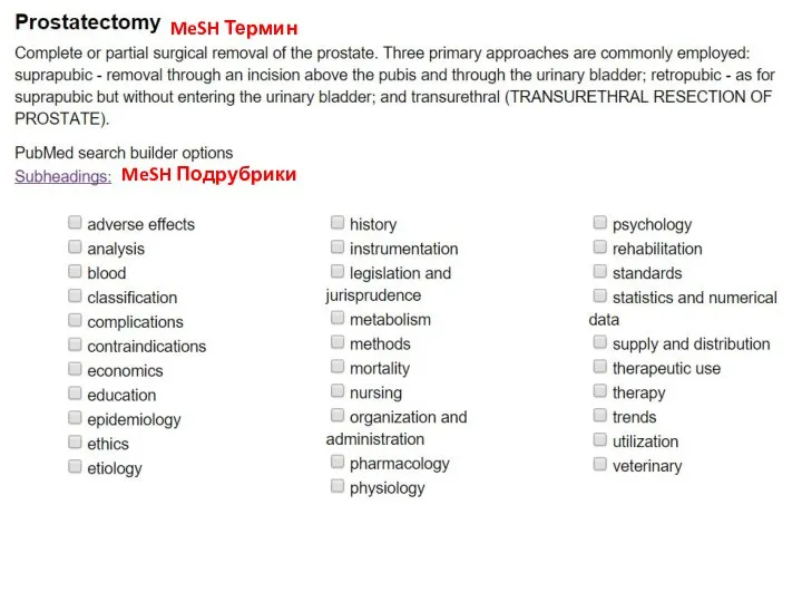 MeSH Термин MeSH Подрубрики