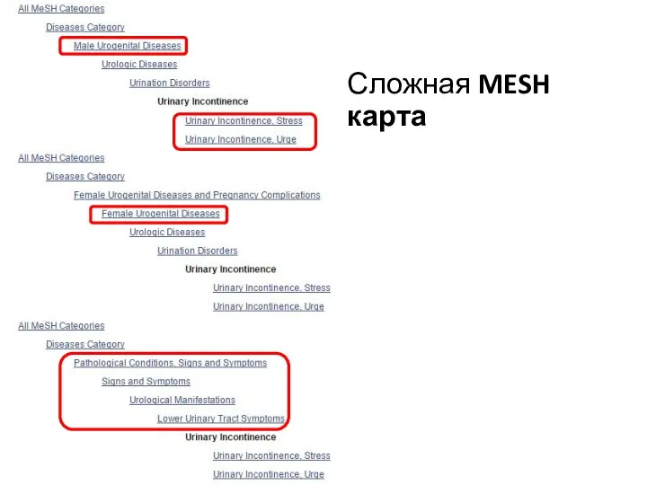 Сложная MESH карта