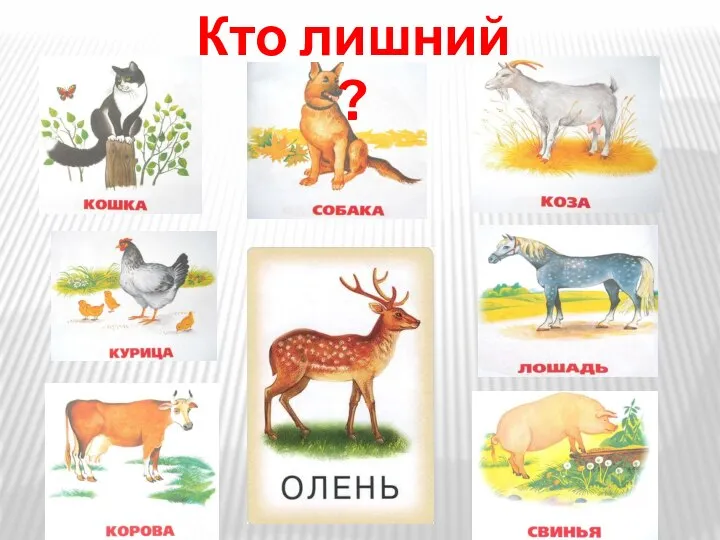 Кто лишний ?