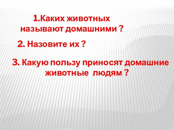 1.Каких животных называют домашними ? 2. Назовите их ? 3. Какую пользу