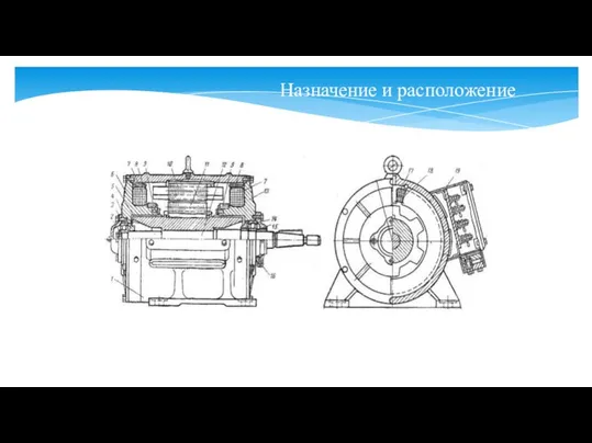 Назначение и расположение