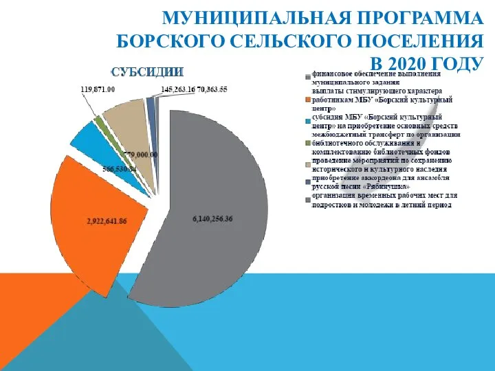 МУНИЦИПАЛЬНАЯ ПРОГРАММА БОРСКОГО СЕЛЬСКОГО ПОСЕЛЕНИЯ В 2020 ГОДУ