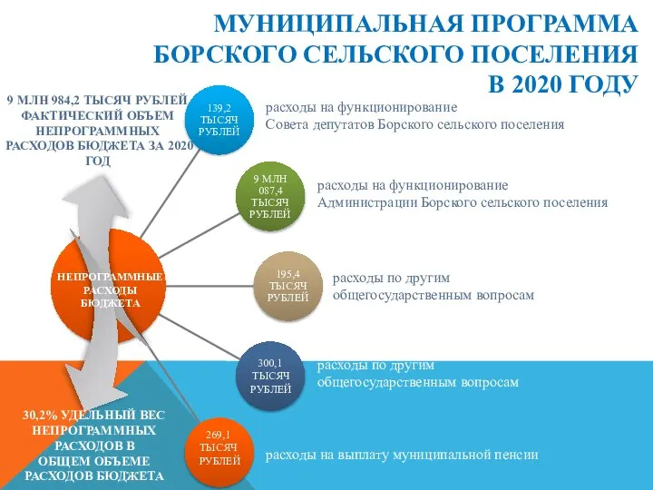 МУНИЦИПАЛЬНАЯ ПРОГРАММА БОРСКОГО СЕЛЬСКОГО ПОСЕЛЕНИЯ В 2020 ГОДУ 300,1 ТЫСЯЧ РУБЛЕЙ 269,1