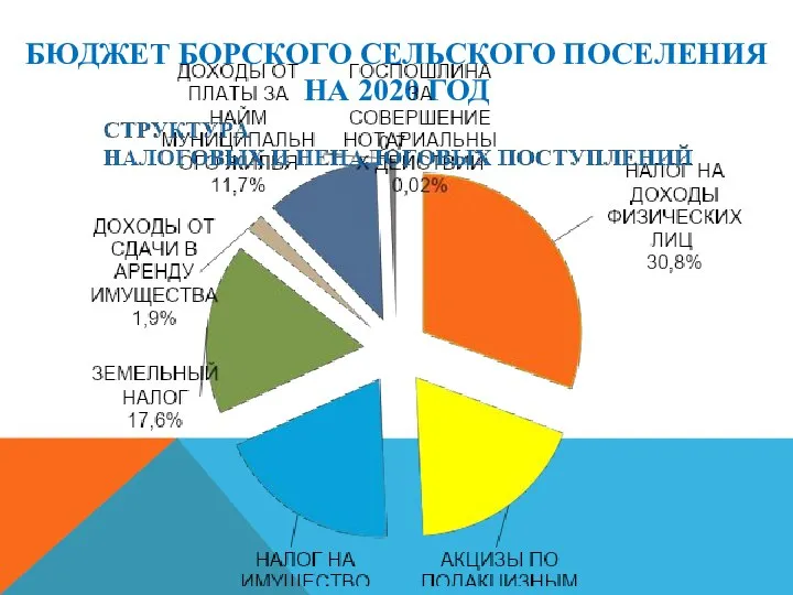 БЮДЖЕТ БОРСКОГО СЕЛЬСКОГО ПОСЕЛЕНИЯ НА 2020 ГОД