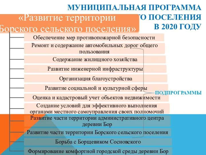 МУНИЦИПАЛЬНАЯ ПРОГРАММА БОРСКОГО СЕЛЬСКОГО ПОСЕЛЕНИЯ В 2020 ГОДУ ПОДПРОГРАММЫ