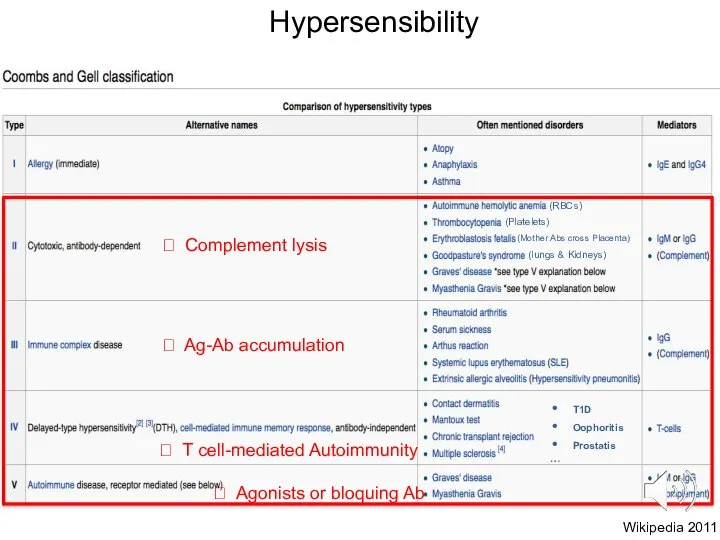 Wikipedia 2011 Hypersensibility ? Complement lysis ? Ag-Ab accumulation ? T cell-mediated