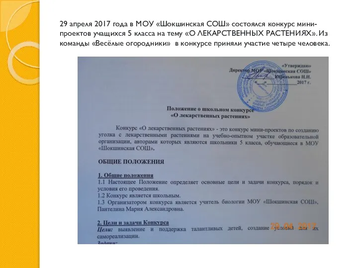 29 апреля 2017 года в МОУ «Шокшинская СОШ» состоялся конкурс мини-проектов учащихся