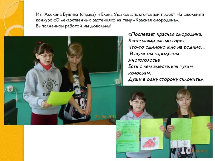 Мы, Аделина Бужина (справа) и Елена Ушакова, подготовили проект На школьный конкурс