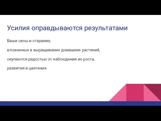 Усилия оправдываются результатами Ваши силы и старания, вложенные в выращивание домашних растений,