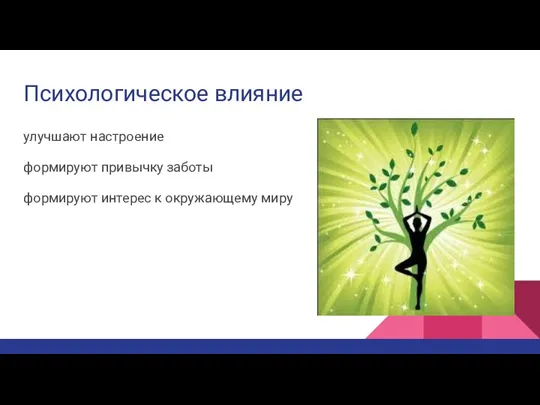 Психологическое влияние улучшают настроение формируют привычку заботы формируют интерес к окружающему миру