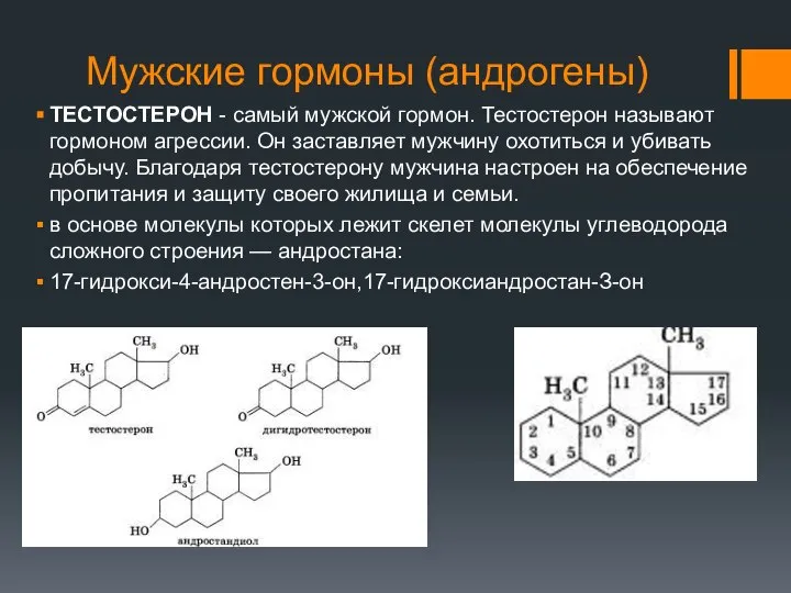 Мужские гормоны (андрогены) ТЕСТОСТЕРОН - самый мужской гормон. Тестостерон называют гормоном агрессии.