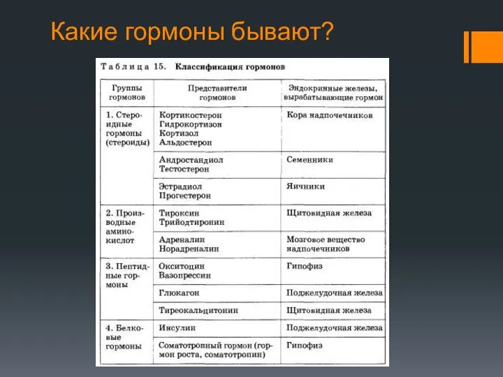 Какие гормоны бывают?