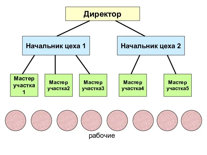 Директор Начальник цеха 1 Начальник цеха 2 Мастер участка1 Мастер участка2 Мастер