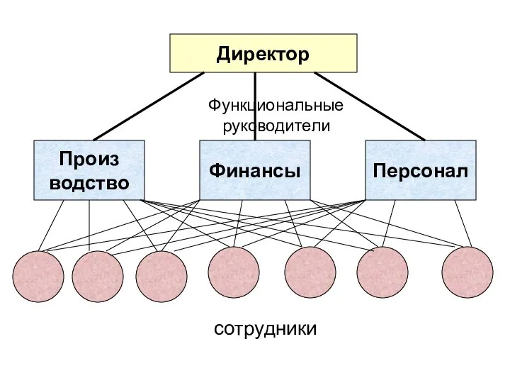 Директор Функциональные руководители Произ водство Финансы Персонал сотрудники