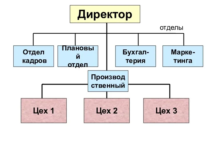 Директор отделы Плановый отдел Бухгал- терия Марке- тинга Цех 1 Цех 2