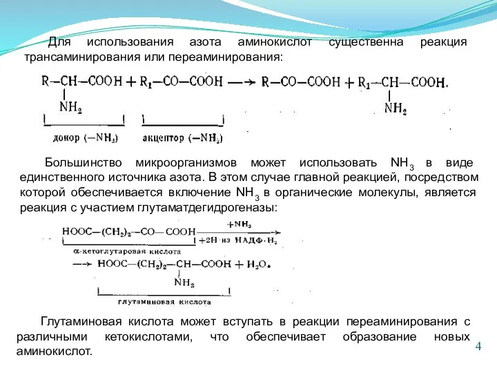 Для использования азота аминокислот существенна реакция трансаминирования или переаминирования: Большинство микроорганизмов может