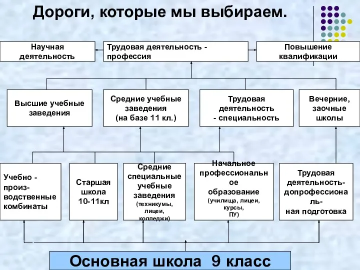 Основная школа 9 класс Старшая школа 10-11кл Средние специальные учебные заведения (техникумы,