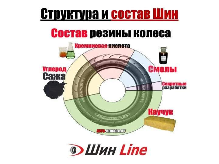 Структура и состав Шин