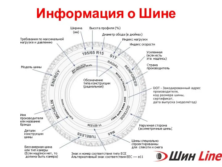 Информация о Шине