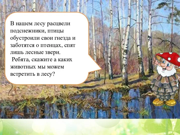 В нашем лесу расцвели подснежники, птицы обустроили свои гнезда и заботятся о