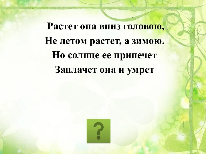 Растет она вниз головою, Не летом растет, а зимою. Но солнце ее