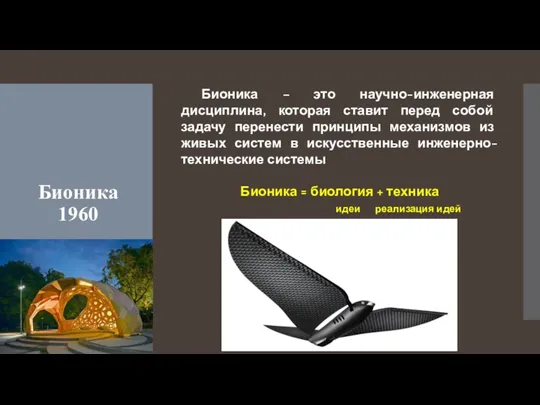 Бионика 1960 Бионика – это научно-инженерная дисциплина, которая ставит перед собой задачу