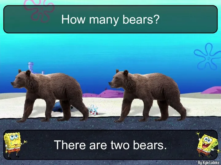 There are two bears. How many bears?