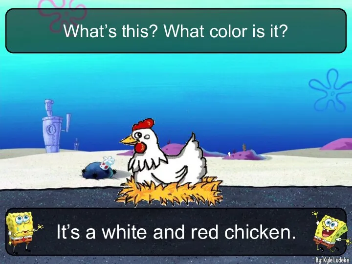 It’s a white and red chicken. What’s this? What color is it?