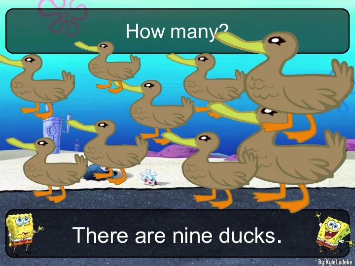 There are nine ducks. How many?