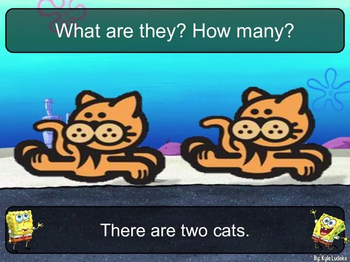 There are two cats. What are they? How many?