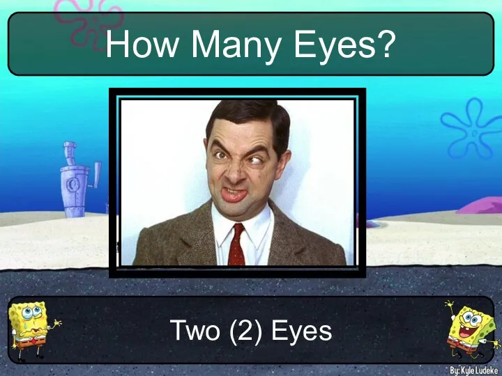 Two (2) Eyes How Many Eyes?