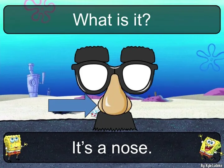 It’s a nose. What is it?